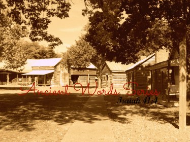 2047_1014ITSOFWshoot0288-1