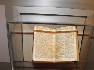 2013_05252013spring0048