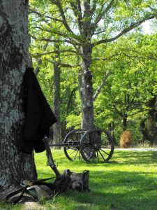 2050_1231spring20140308