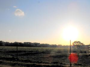 179142_4290399343978_390444831_n