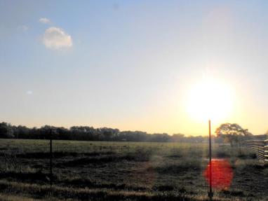 179142_4290399343978_390444831_n