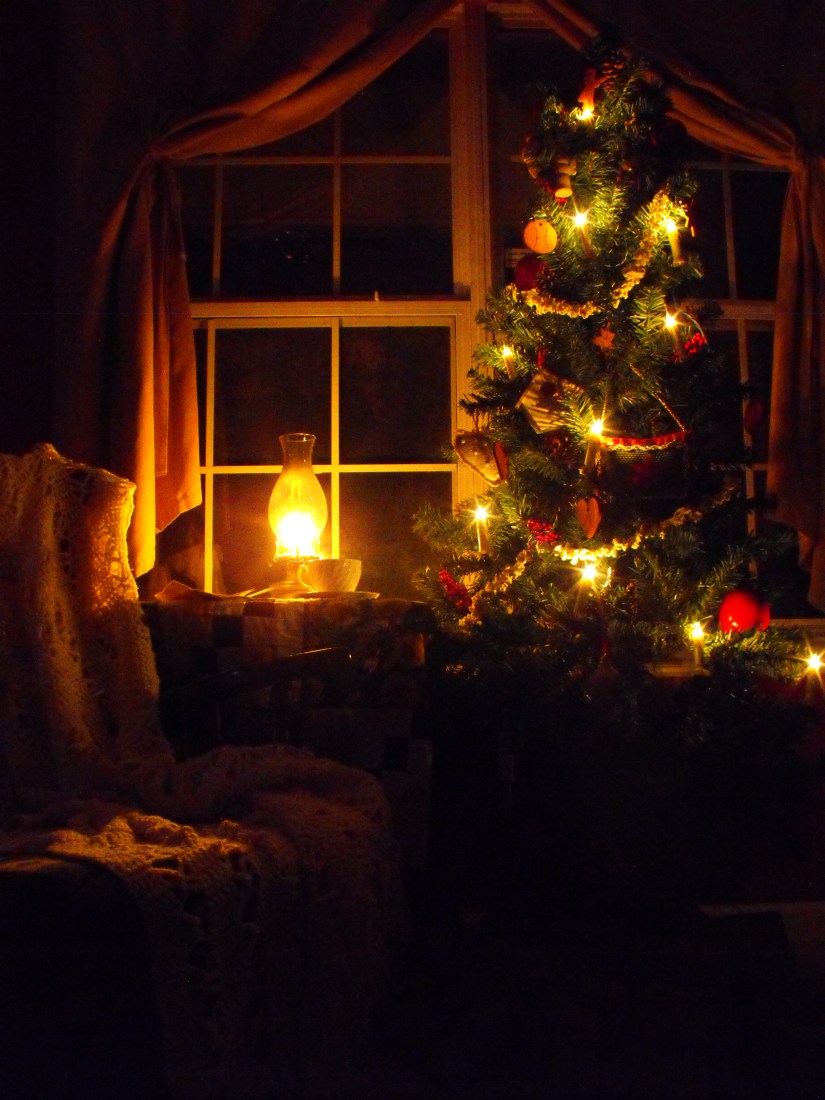 2047_1229winter20130134